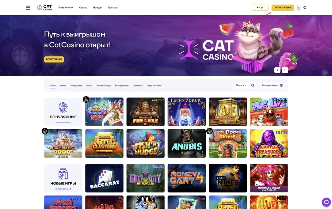 Кэт казино