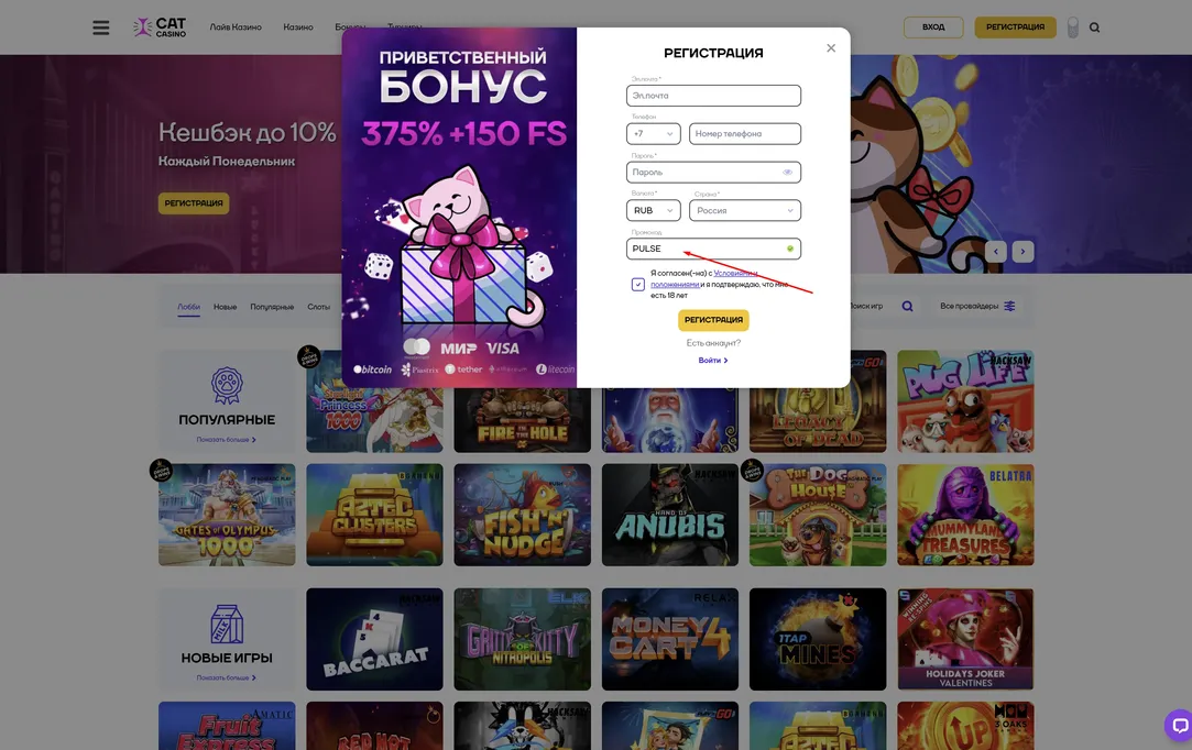 Cat Casino регистрация