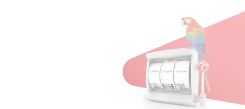 Провайдер Macaw Gaming