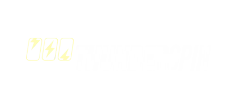 Провайдер ThunderSpin