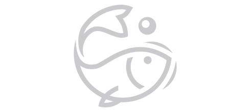 Провайдер Fishing