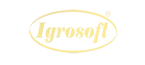 Провайдер IgroSoft